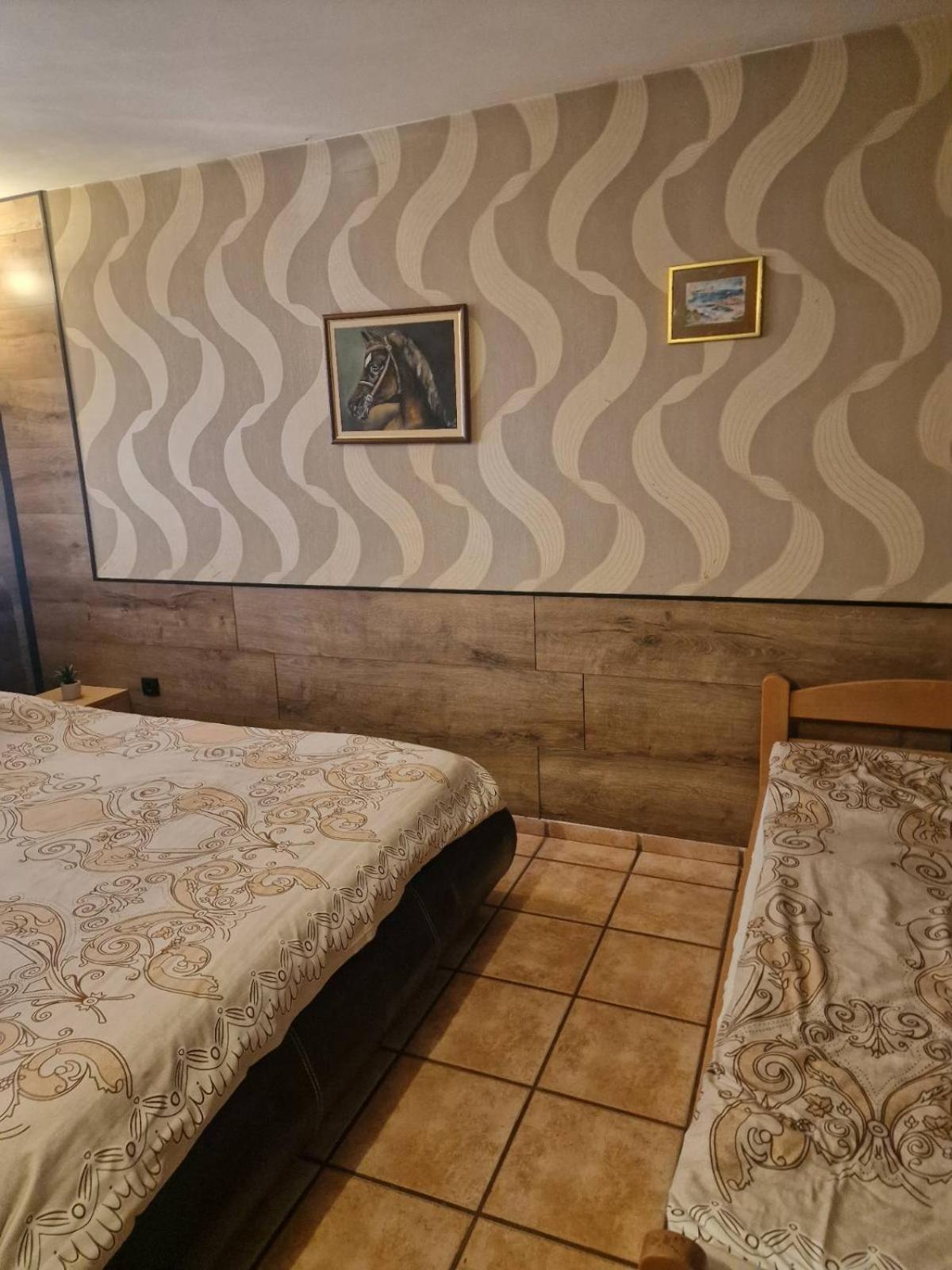 Guest House Maja Novi Sad Exteriör bild