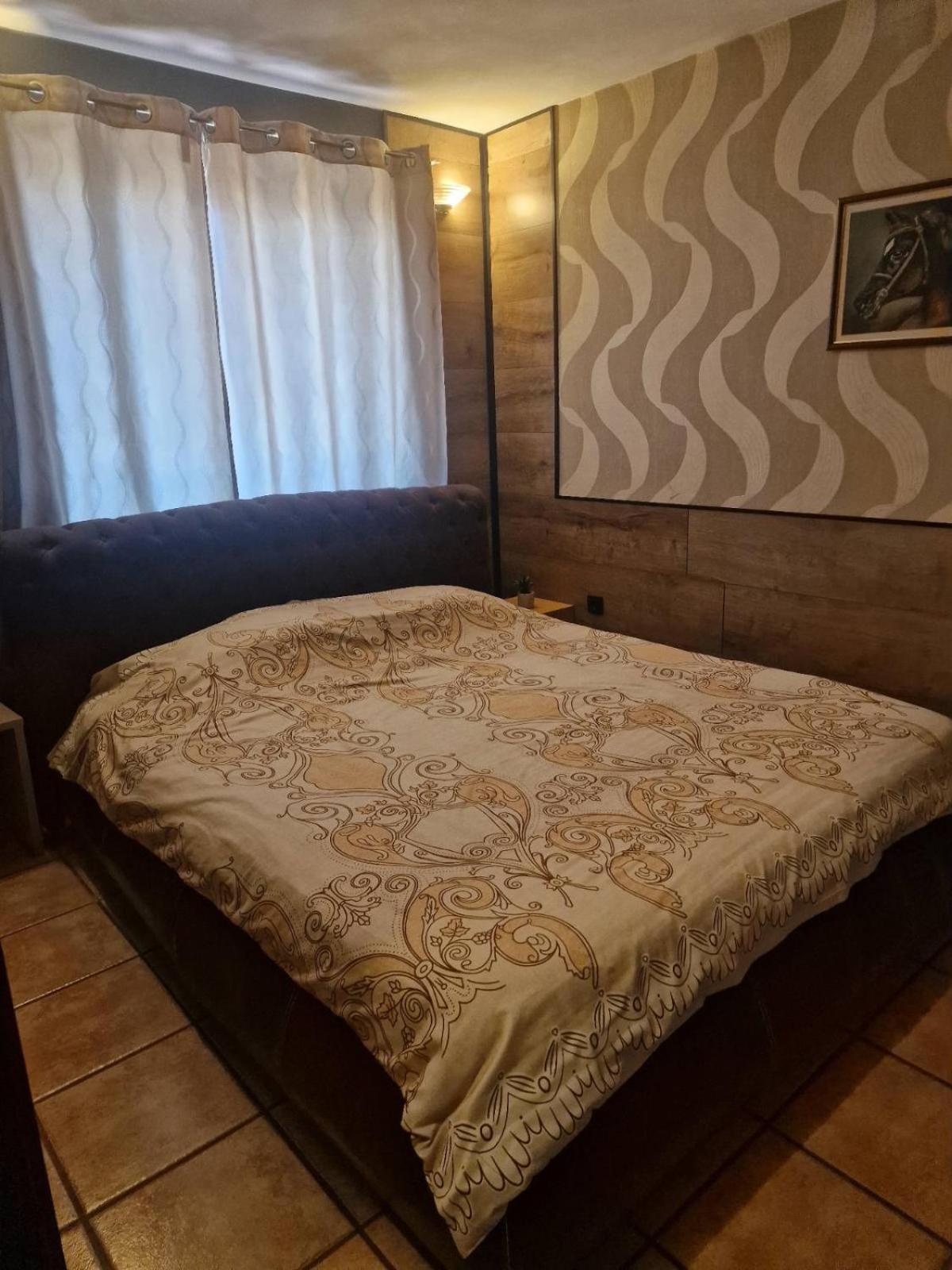 Guest House Maja Novi Sad Exteriör bild